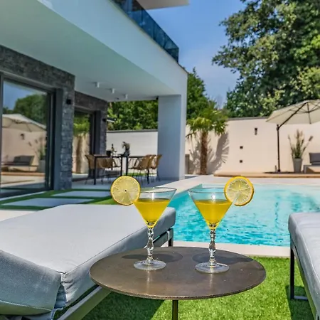 Superb Design Villa Medulin